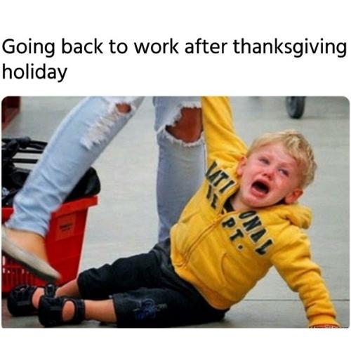 Thanksgiving Work Memes
