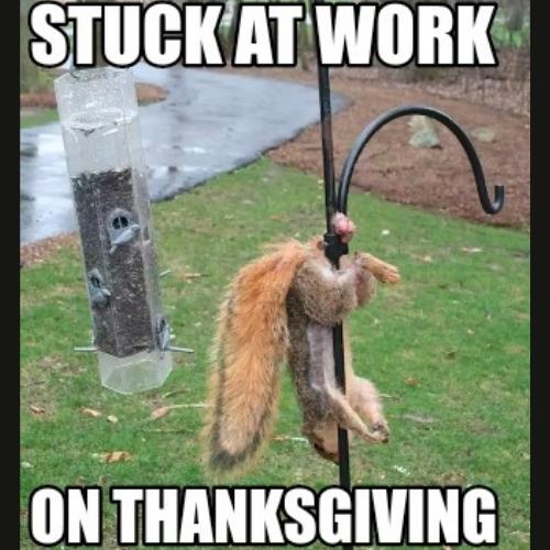 funniest Thanksgiving Work Memes