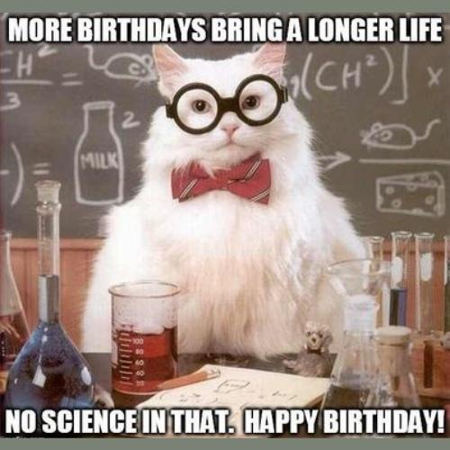 Grumpy Cat Birthday Memes