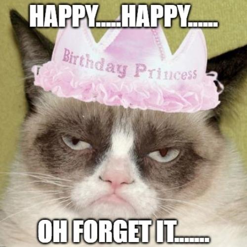 Grumpy Cat Birthday Memes