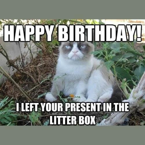 funny Grumpy Cat Birthday Memes
