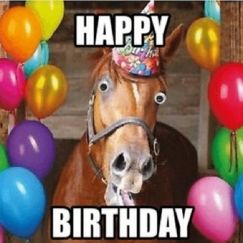 happy birthday horse meme