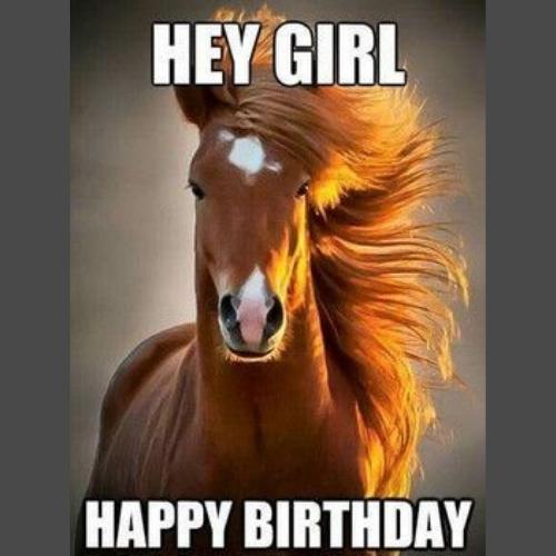happy birthday horse meme