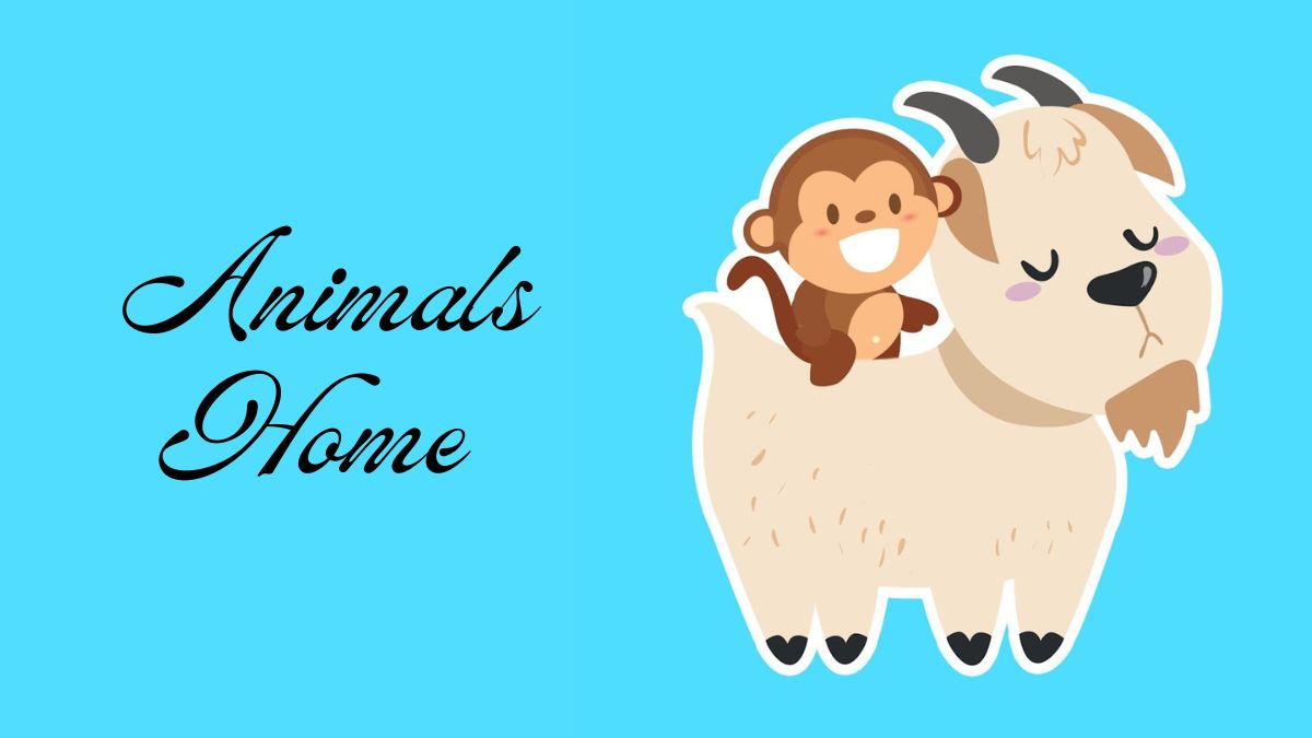 Animals Home - Net Worth, Income & Estimated Earnings
