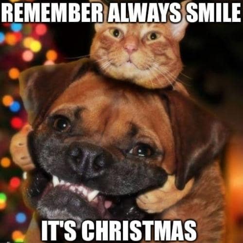remember always smile it's christmas