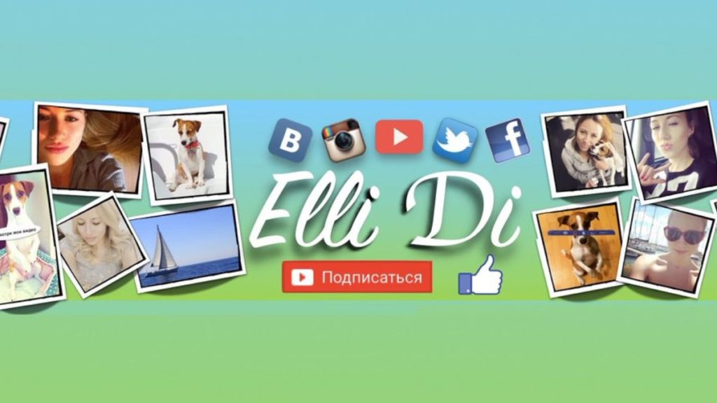 Elli Di Pets Net Worth, & Estimated Earnings