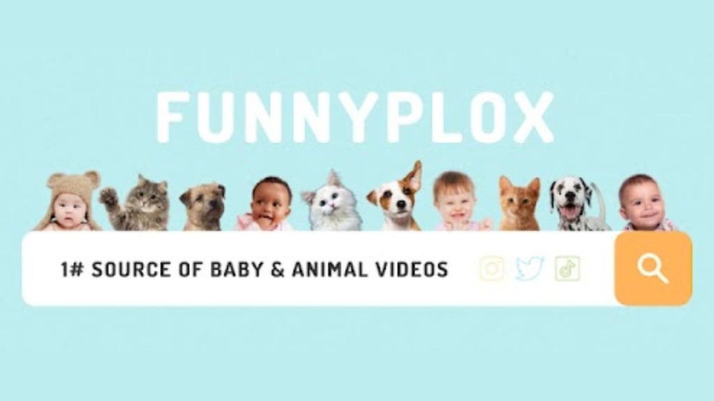 Funnyplox - Net Worth, Income & Estimated Earnings