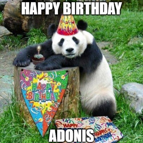 Happy Birthday Adonis Memes