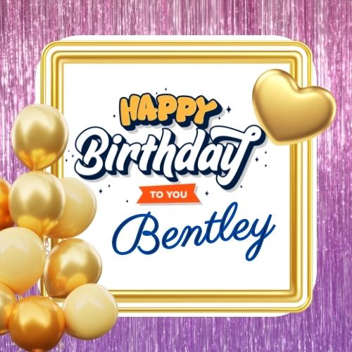 Happy Birthday Bentley Picture