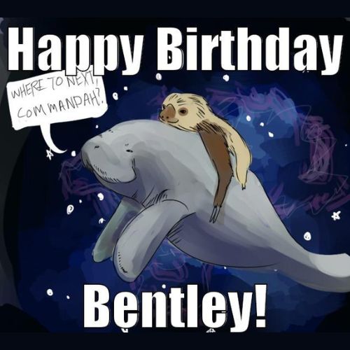 Happy Birthday Bentley Memes