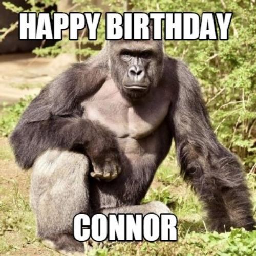 Happy Birthday Connor Memes