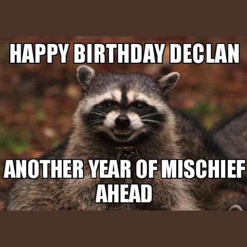 Happy Birthday Declan Memes