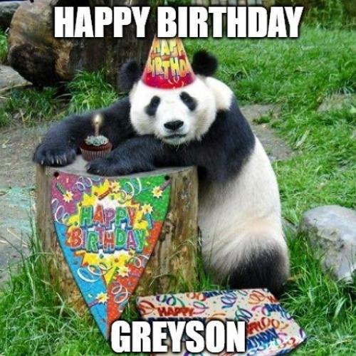 Happy Birthday Greyson Memes