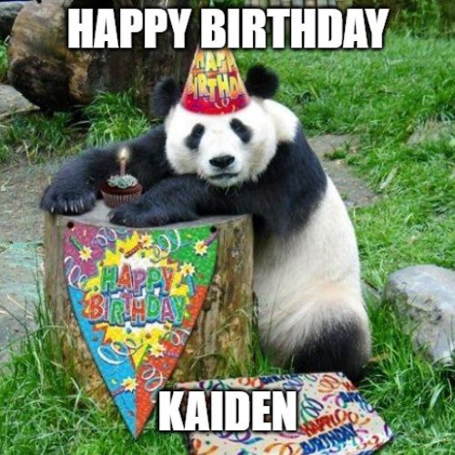 Happy Birthday Kaiden Memes