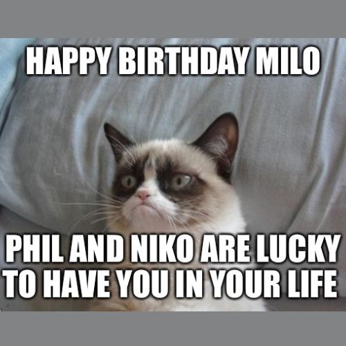 Happy Birthday Milo Memes