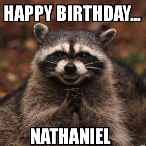 Happy Birthday Nathaniel Memes