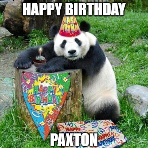 Happy Birthday Paxton Memes