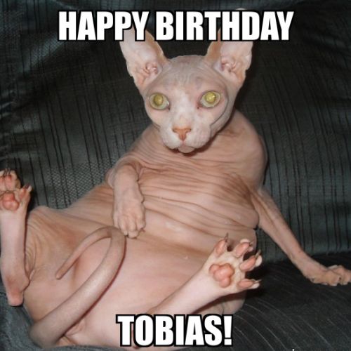 Happy Birthday Tobias Memes