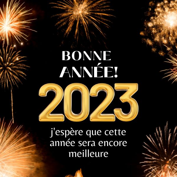Happy New Year in French Wishes
