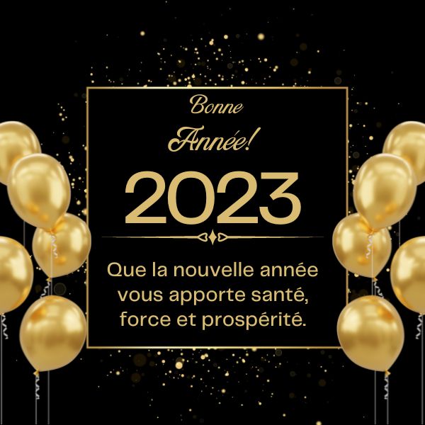 Happy New Year in French Messages