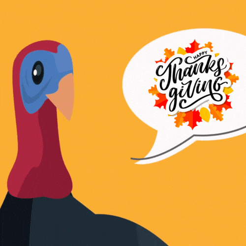 thanksgiving turkey gif 2023