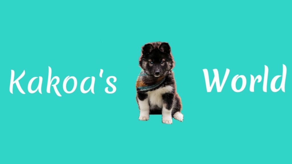 Kakoa’s World – Net Worth, Income & Estimated Earnings Kakoa's World - Net Worth, Income & Estimated Earnings