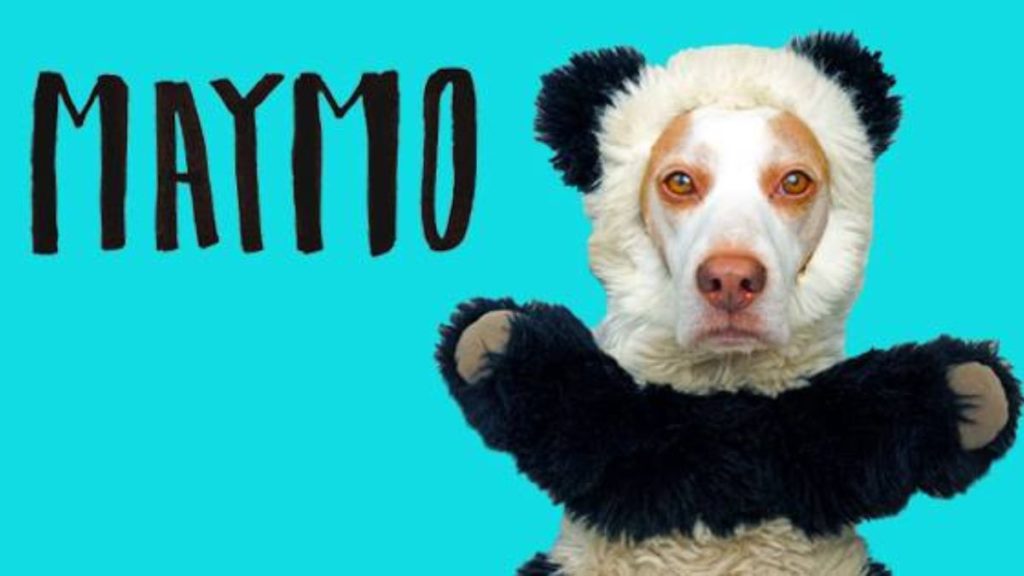 Maymo – Net Worth, Income & Estimated Earnings Maymo - Net Worth, Income & Estimated Earnings