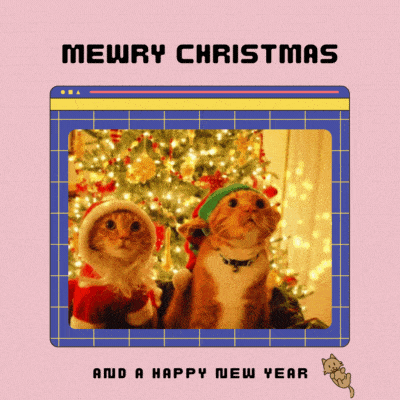 Merry Christmas and happy new year Cat Gif