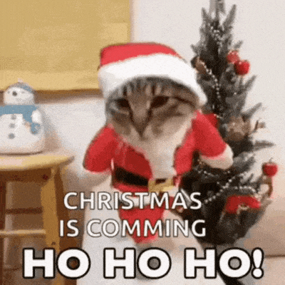 ho ho ho christmas is comming