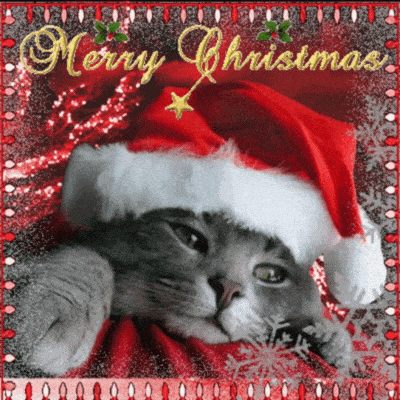 Merry Christmas Cat Gif