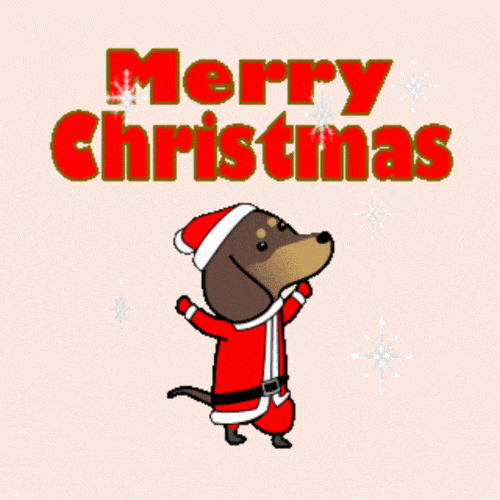 Merry Christmas Dog Gif