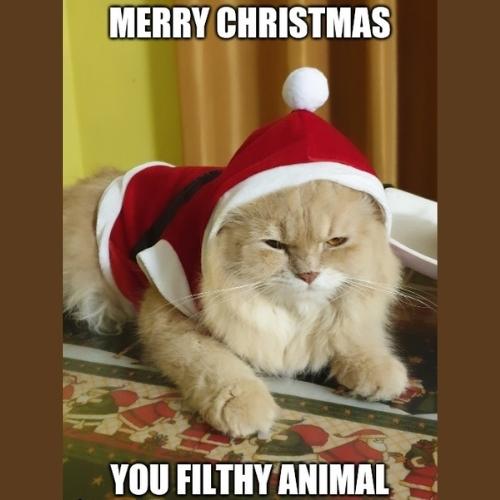 Merry Christmas You Filthy Animal Memes