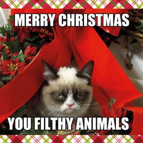 Merry Christmas You Filthy Animal Memes