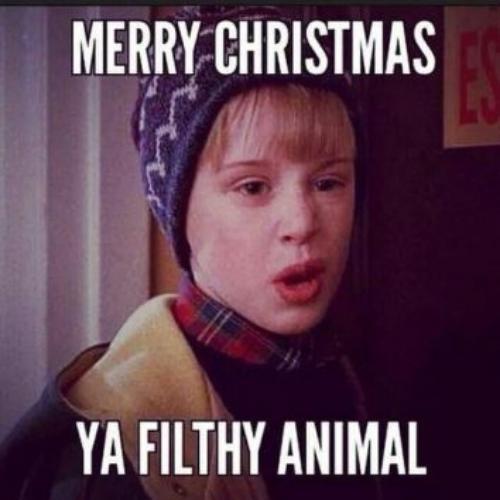Merry Christmas Ya Filthy Animal Memes