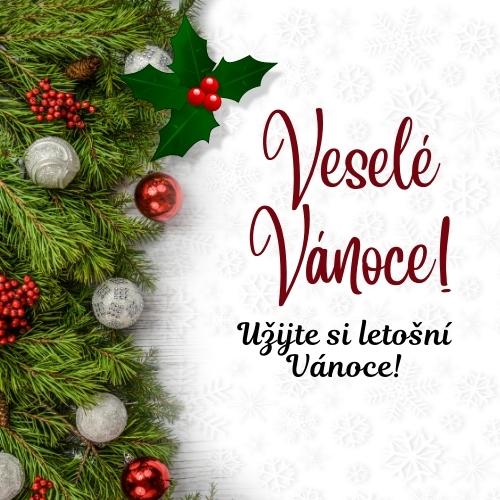 Merry Christmas In Czech Quotes