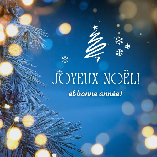 Merry Christmas and happy new year in French 