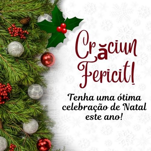 Merry Christmas in Romanian Images