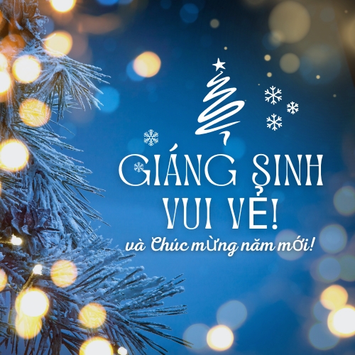 Merry Christmas and happy new year in Vietnamese 