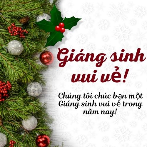 Merry Christmas in Vietnamese Images