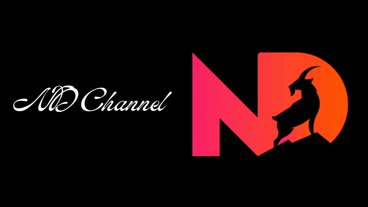 ND Channel - Net Worth, Income & Estimated Earnings
