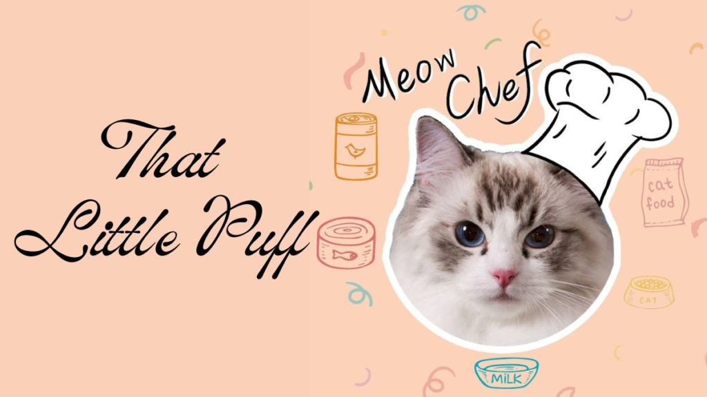 That Little Puff - Net Worth, Income & Estimated Earnings