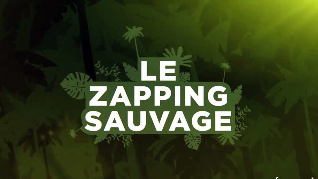 Zapping Sauvage Net Worth, Income & Estimated Earnings Zapping Sauvage - Net Worth, Income & Estimated Earnings