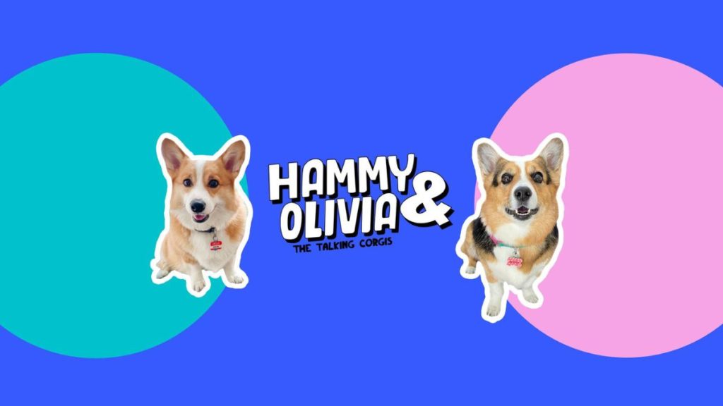 Hammy and Olivia - Net Worth, Income & Estimated Earnings