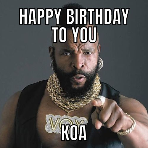Happy Birthday Koa Memes