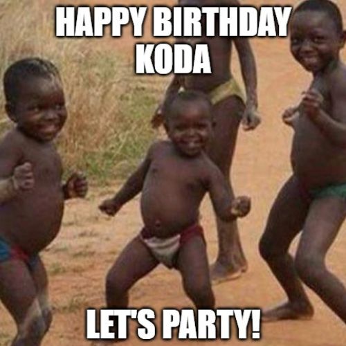 Happy Birthday Koda Memes