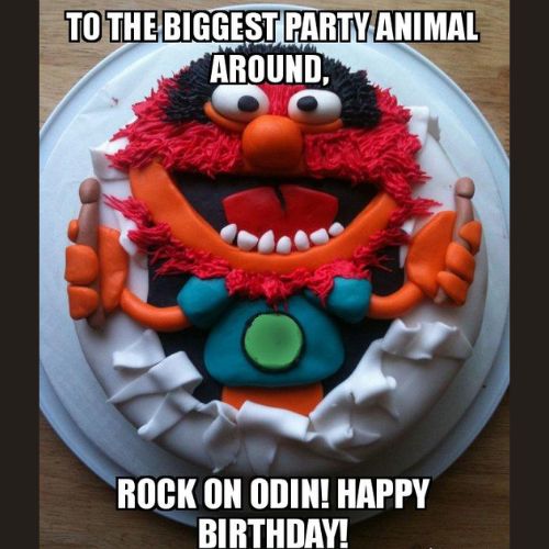 Happy Birthday Odin Memes