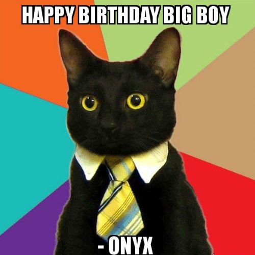 Happy Birthday Onyx Memes