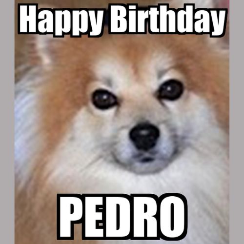 Happy Birthday Pedro Memes