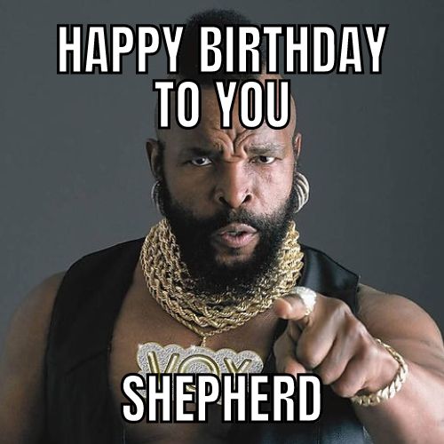Happy Birthday Shepherd Memes