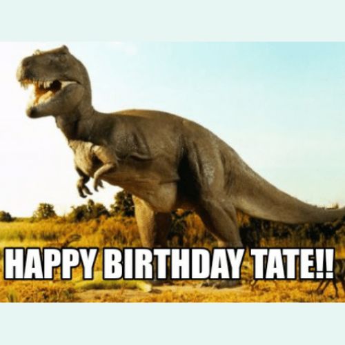 Happy Birthday Tate Memes